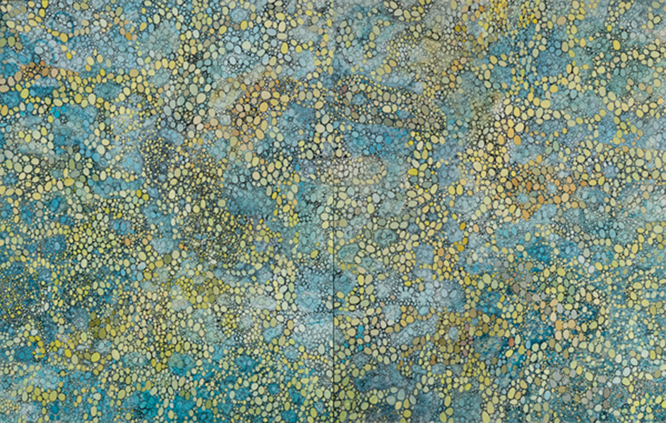 Myriad Clusters dyptich 2’-8x6’-8” acrylic, museum board 2013
