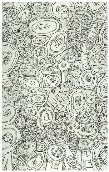 Joseph Revealed, 60”x40”, acrylic/ink on board